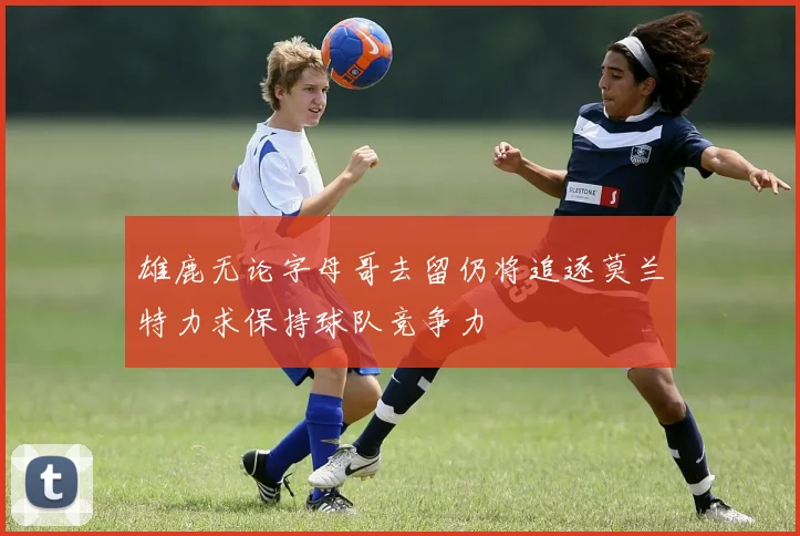 雄鹿无论字母哥去留仍将追逐莫兰特力求保持球队竞争力
