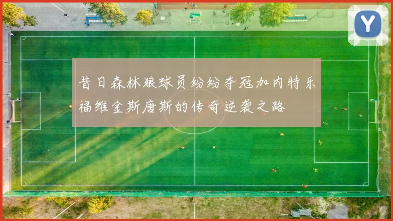 昔日森林狼球员纷纷夺冠加内特乐福维金斯唐斯的传奇逆袭之路