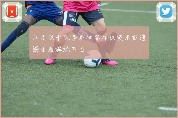 非足联十队争夺世界杯仅突尼斯遗憾出局尴尬不已