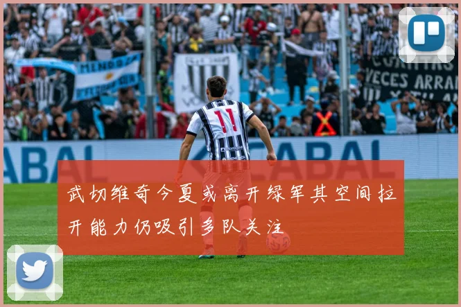 武切维奇今夏或离开绿军其空间拉开能力仍吸引多队关注