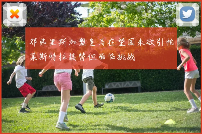 邓弗里斯加盟皇马在望国米欲引帕莱斯特拉接替但面临挑战